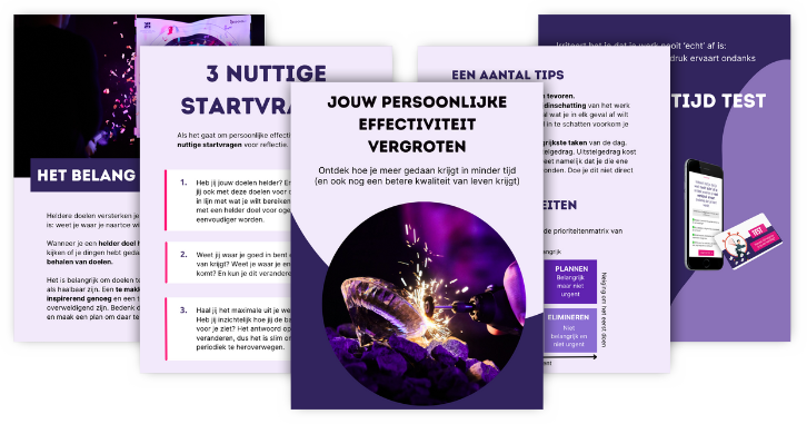 Ebook Persoonlijke Effectiviteit