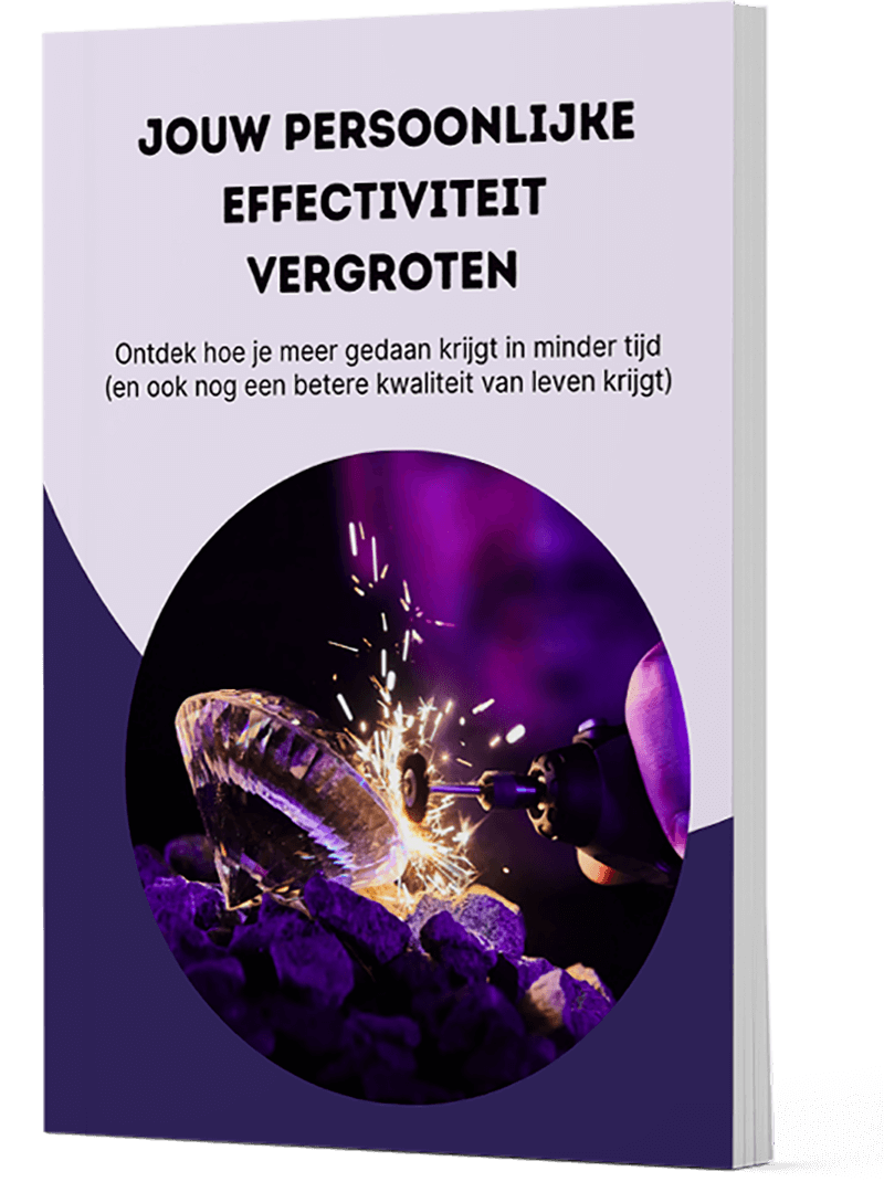 Ebook Persoonlijke Effectiviteit